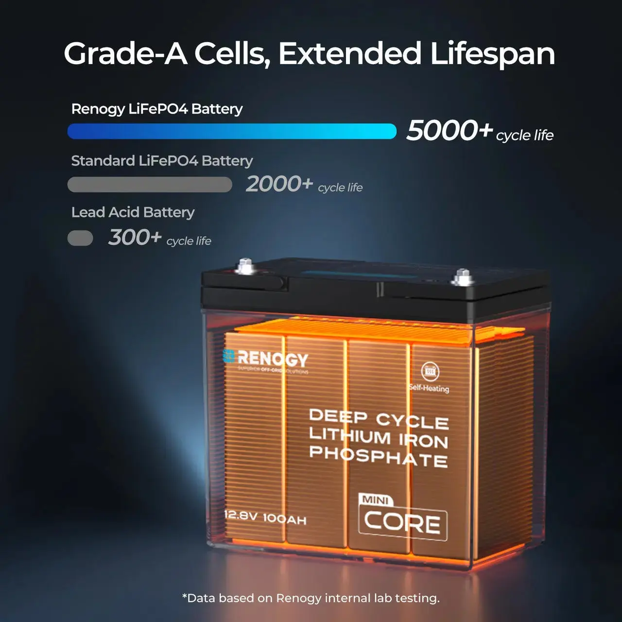 12.8V 100Ah Lithium Iron Phosphate Battery - Image 18