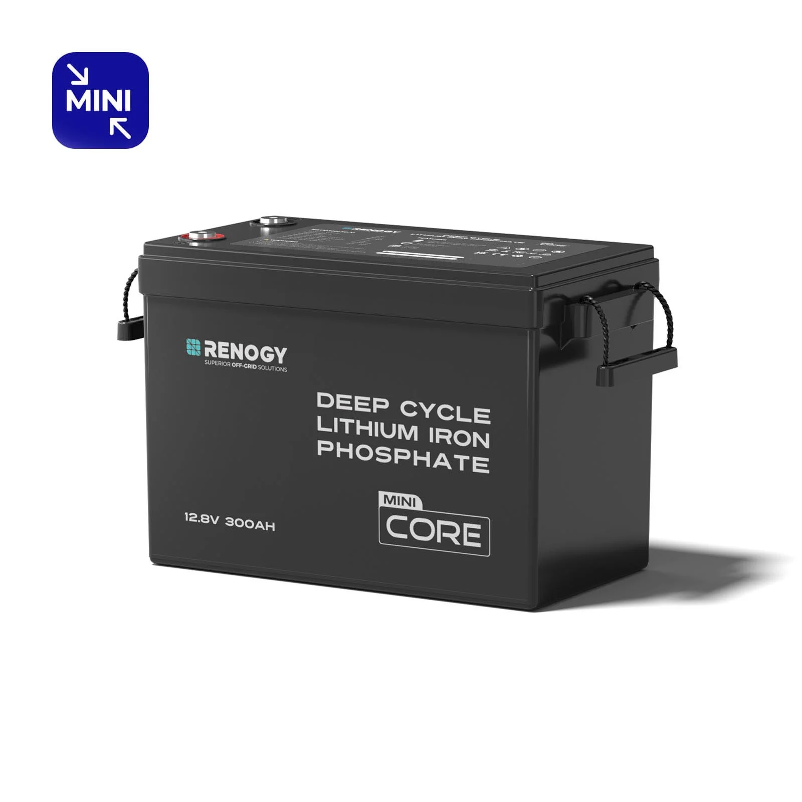 Renogy Core Mini - LiFePO4 12.8V 300/200/100Ah Lithium Batteries - Image 16