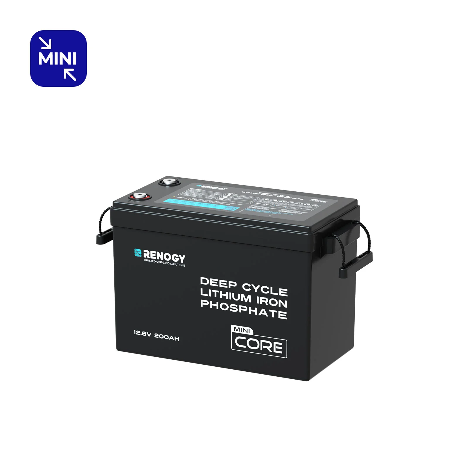 Renogy Core Mini - LiFePO4 12.8V 300/200/100Ah Lithium Batteries - Image 18