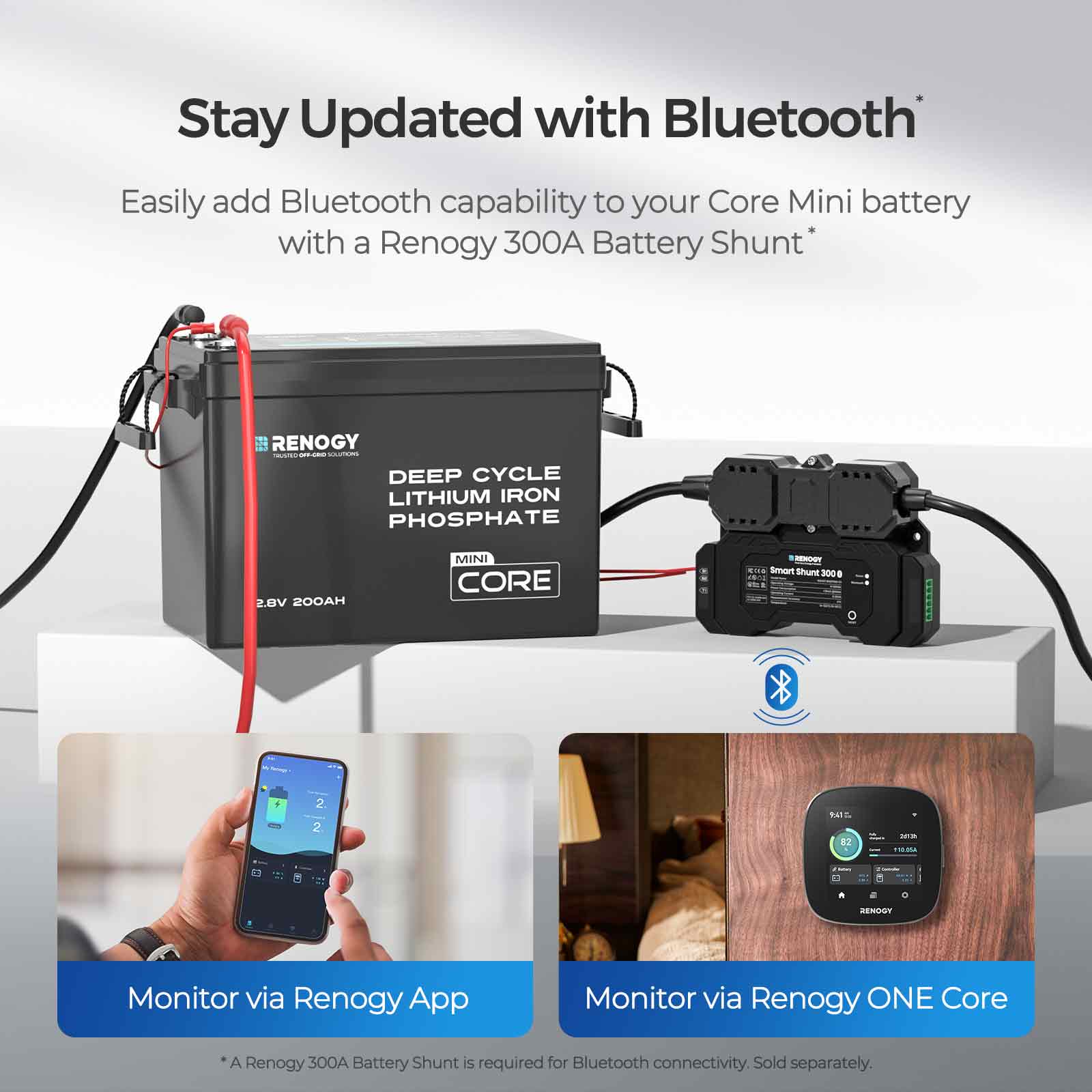 Renogy Core Mini - LiFePO4 12.8V 300/200/100Ah Lithium Batteries - Image 26