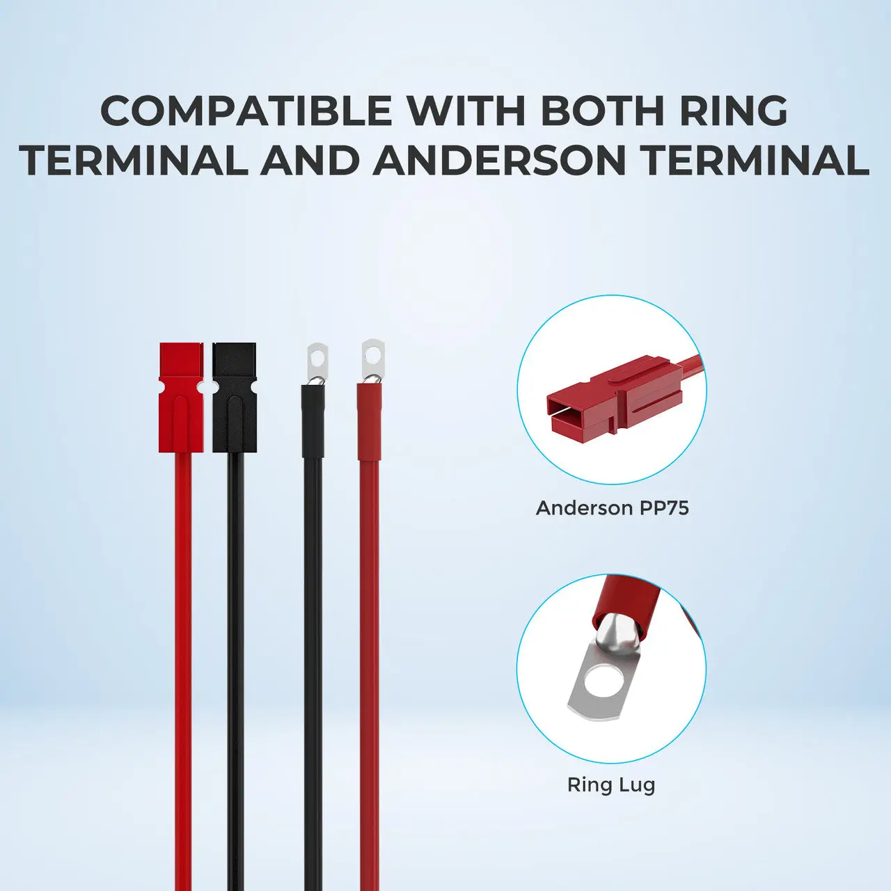 Renogy 5FT 6AWG Anderson Adapter Cable(Anderson PP75 - 3/8 in Lugs) - Image 3